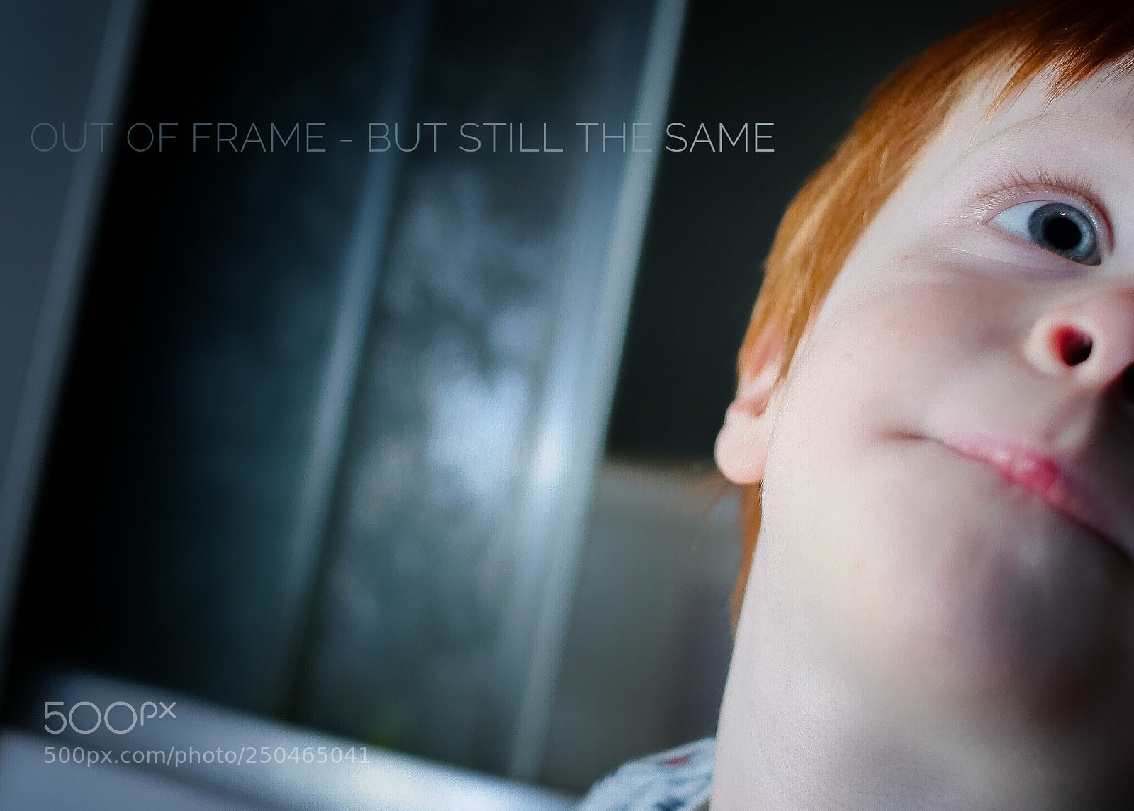 Canon EOS-1D Mark II sample photo. Out of ..... photography