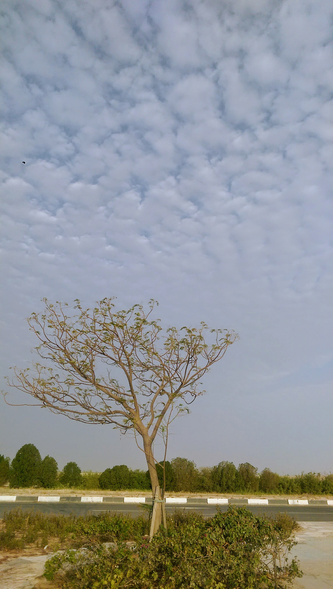 HTC ONE M8 sample photo