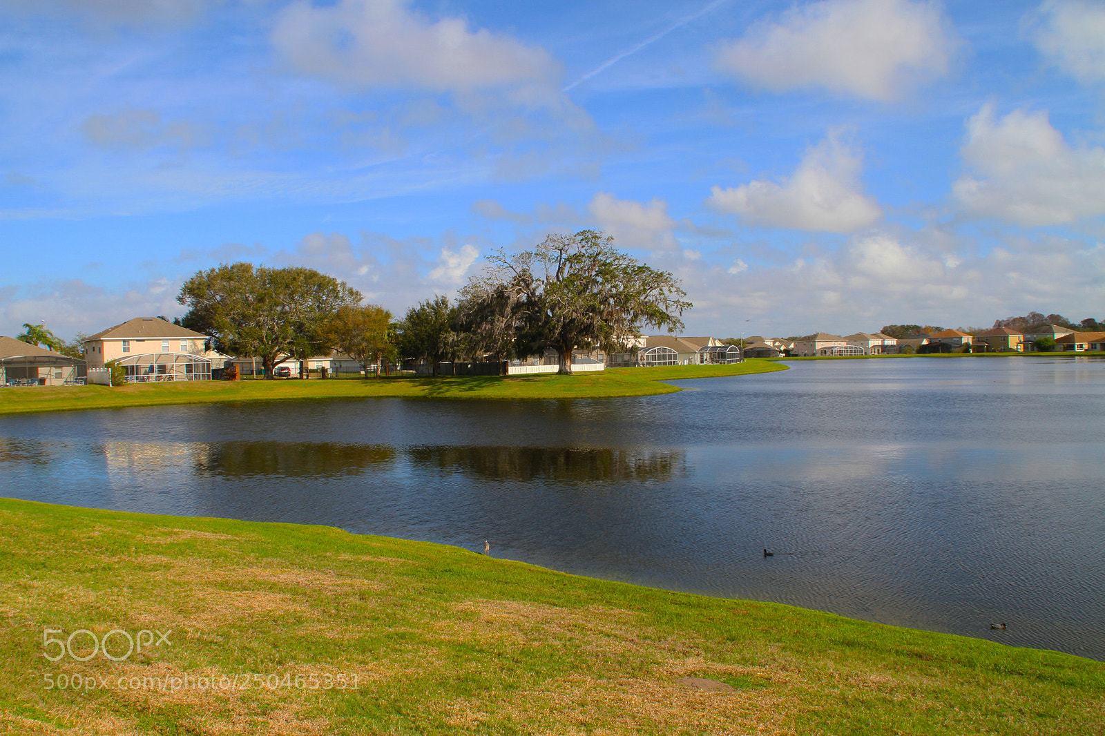 Canon EOS 7D sample photo. Img photography