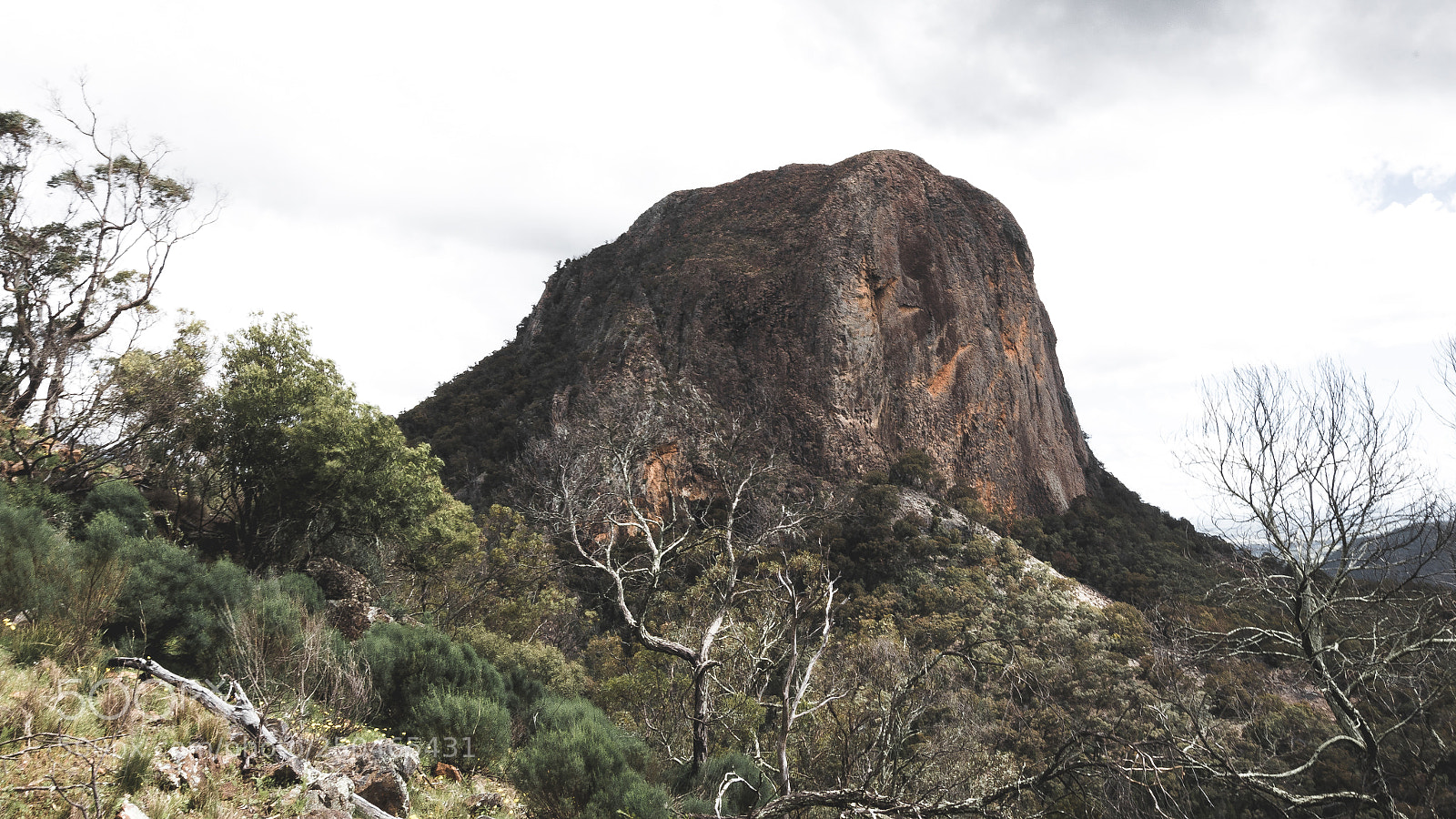 Nikon D7200 sample photo. Bluff mountain photography