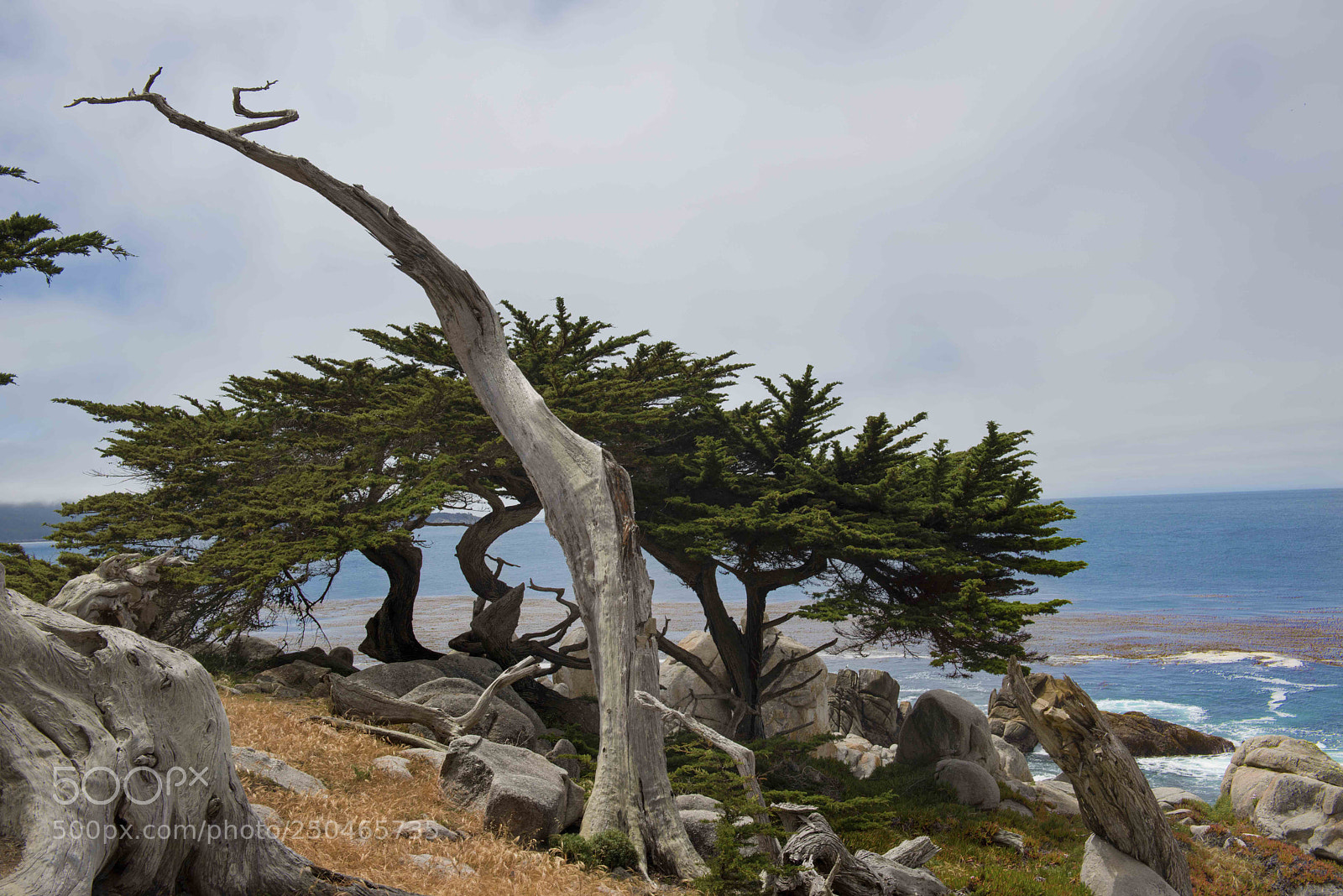 Nikon D800 sample photo. Carmel coast
deadwood arch photography