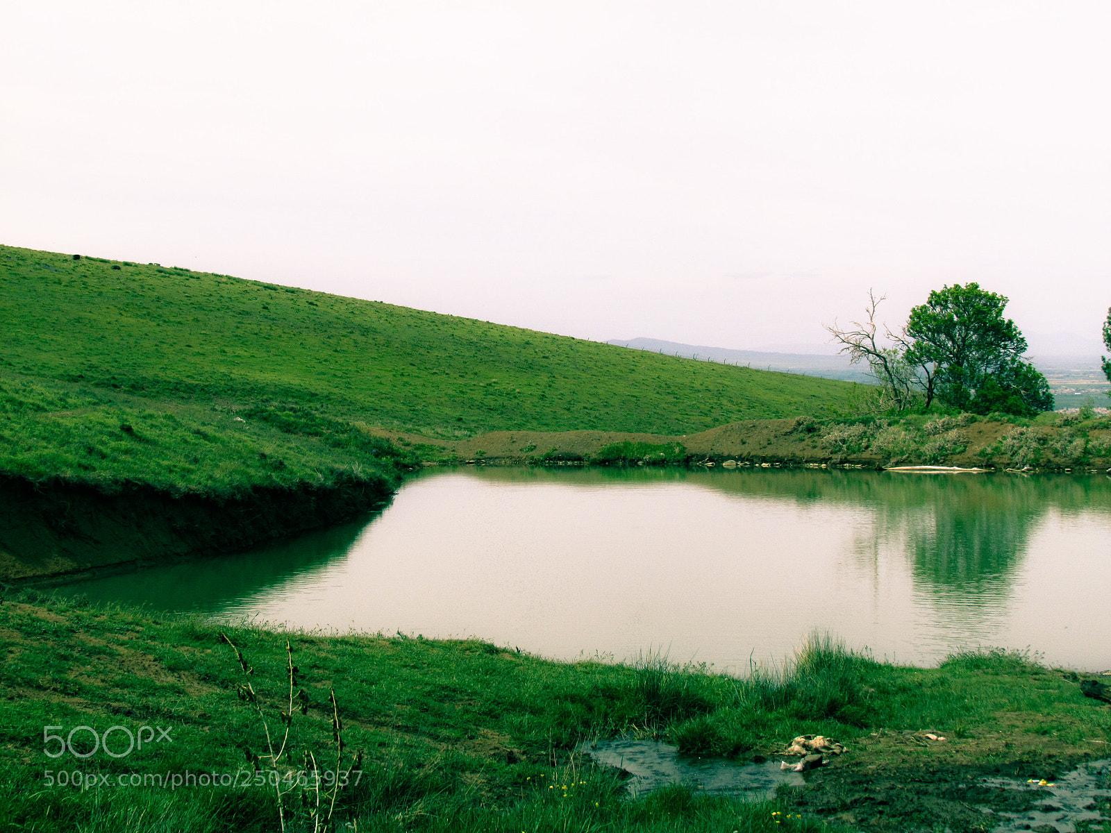 Canon PowerShot SX30 IS sample photo. Green land photography