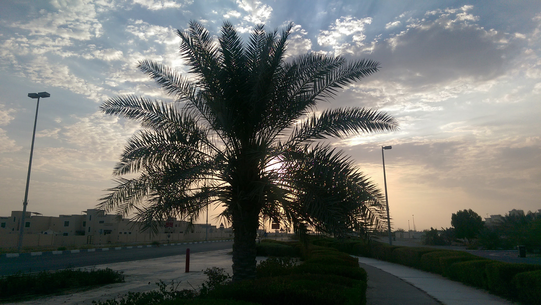 HTC ONE M8 sample photo
