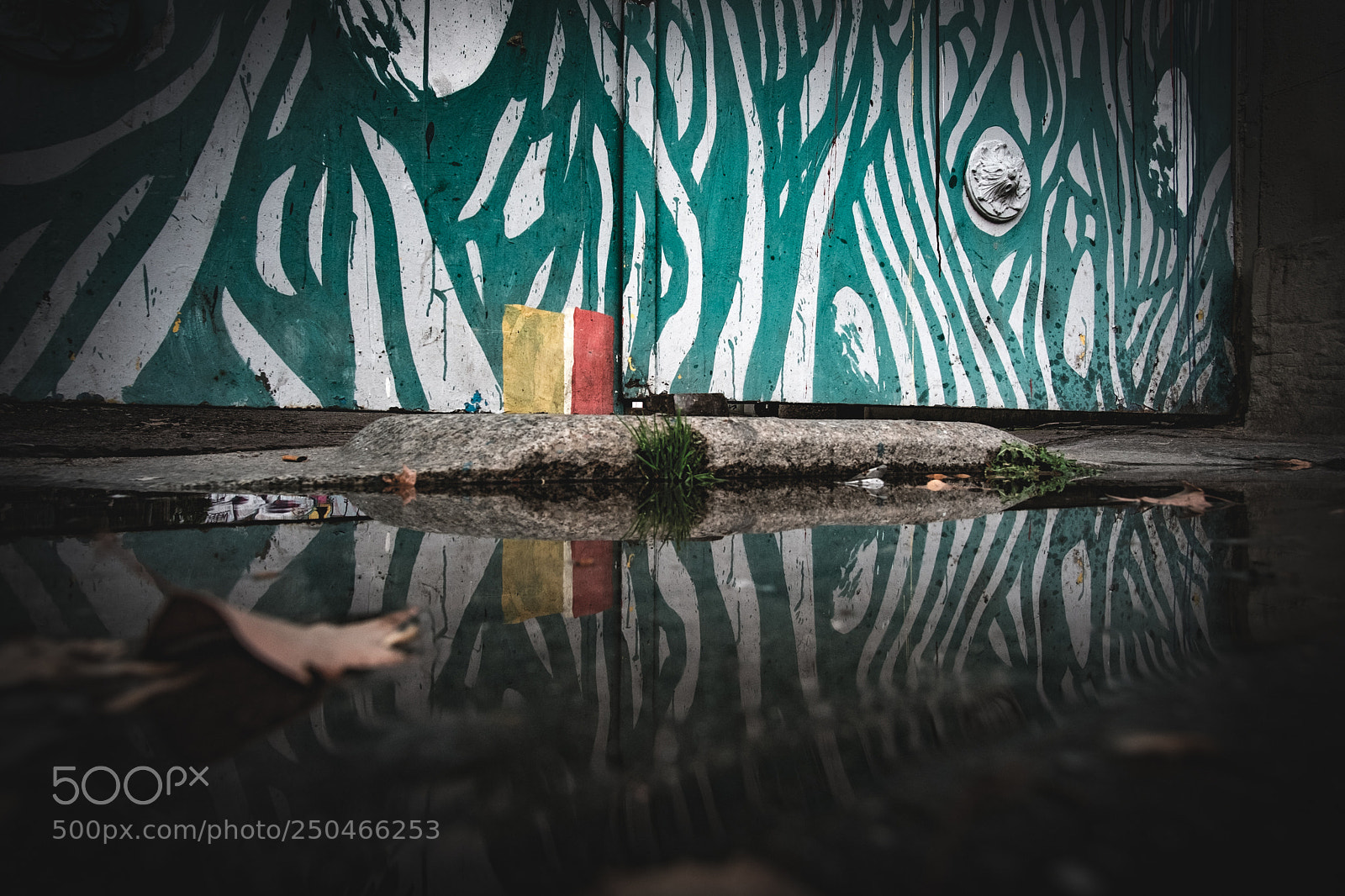Fujifilm X-E1 sample photo. A low level reflection photography