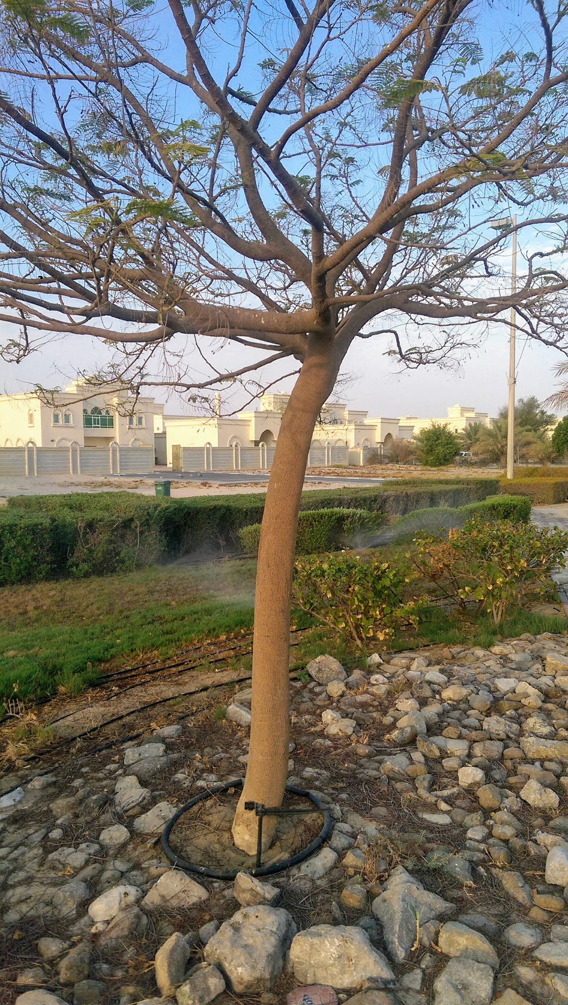 HTC ONE M8 sample photo