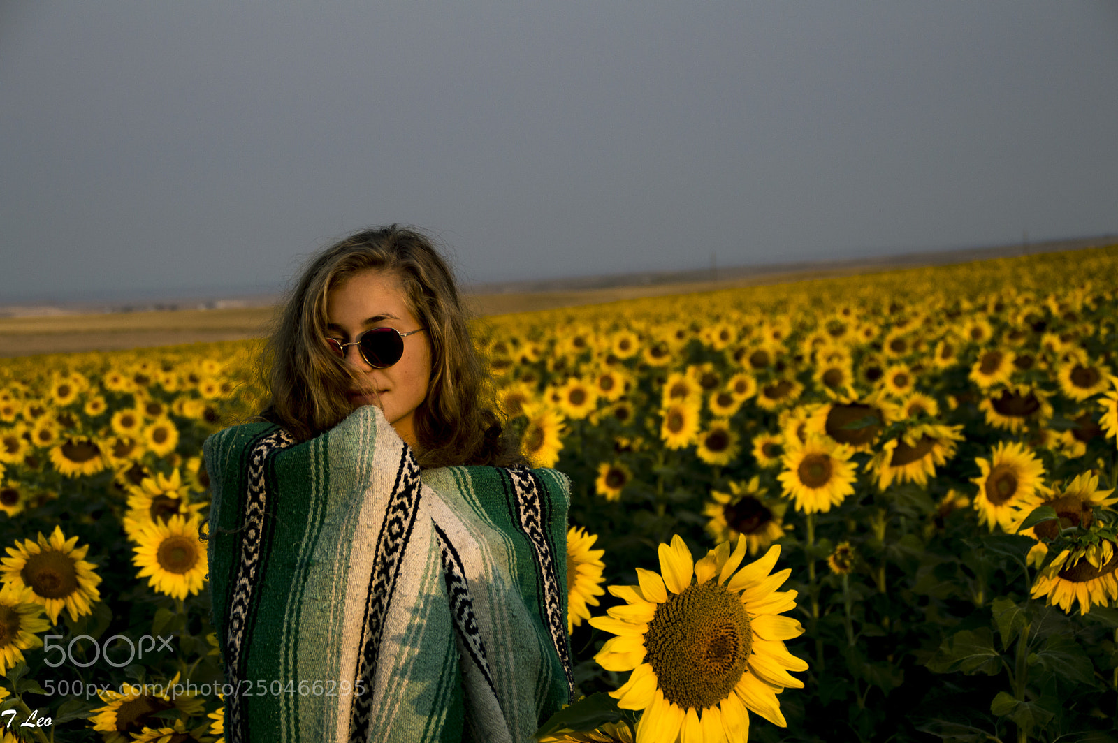 Nikon D3200 sample photo. Export photography