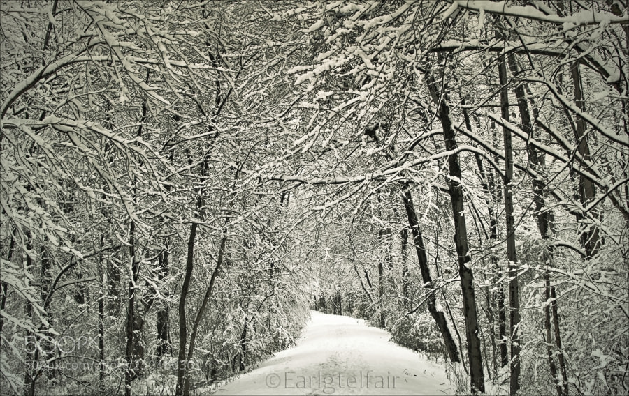 Nikon D5300 sample photo. Winter walking photography