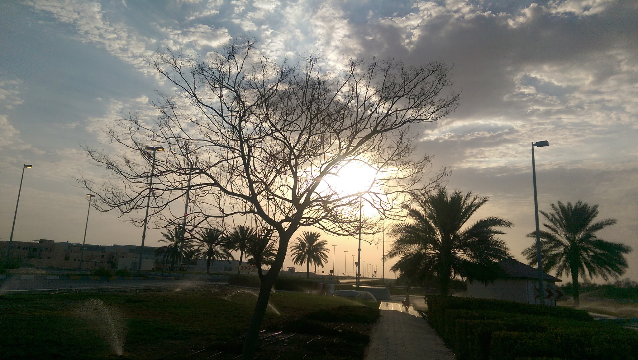 HTC ONE M8 sample photo