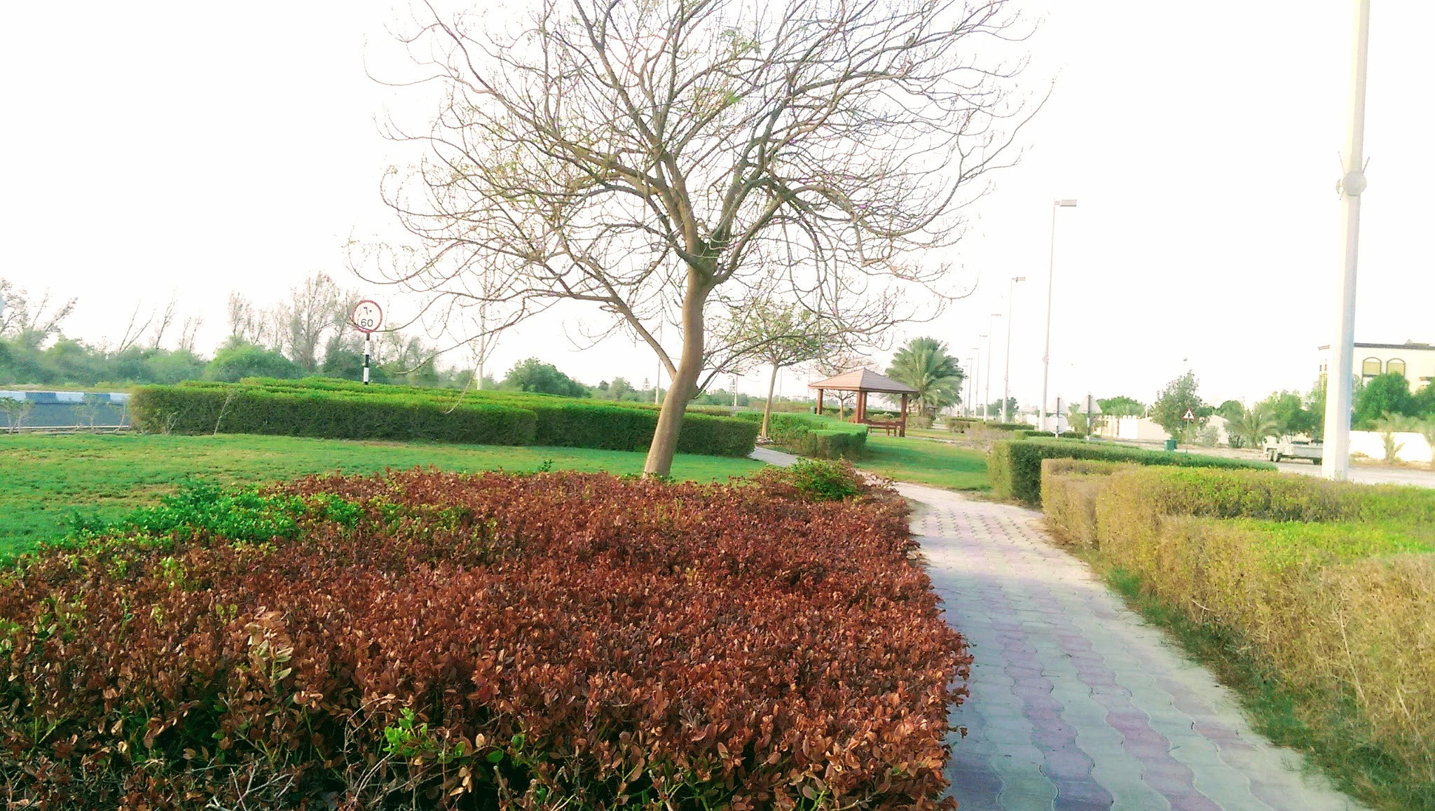 HTC ONE M8 sample photo