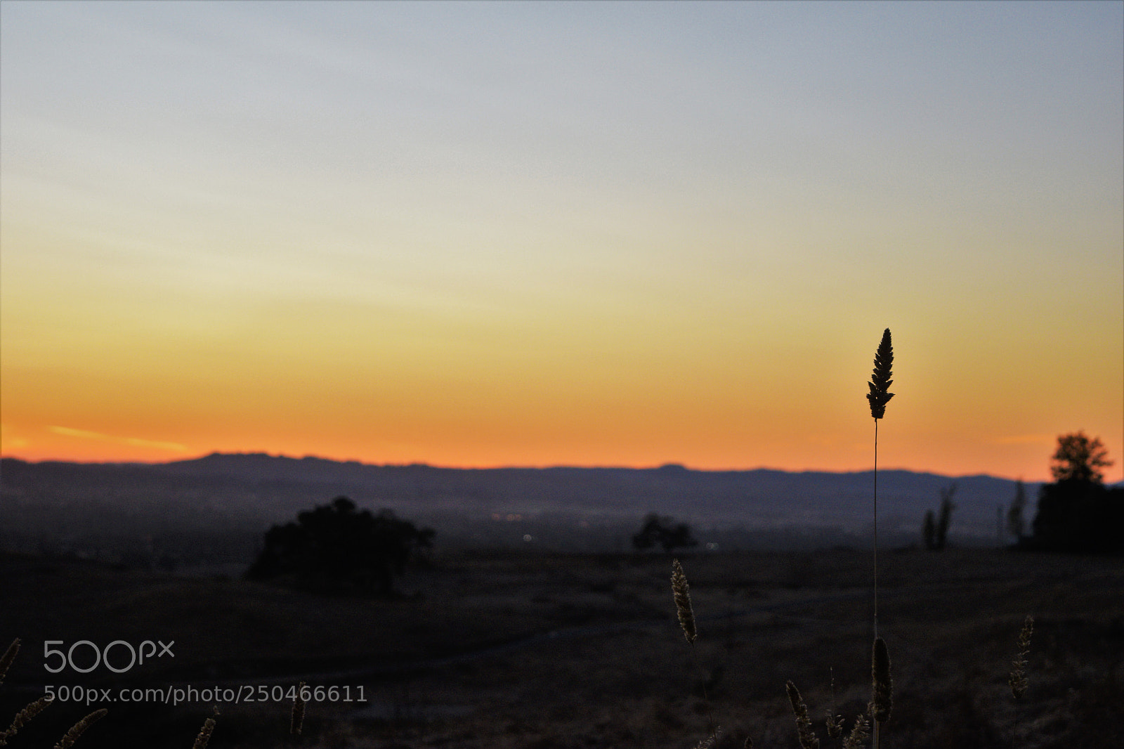Nikon D3300 sample photo. Sunset lagoon photography