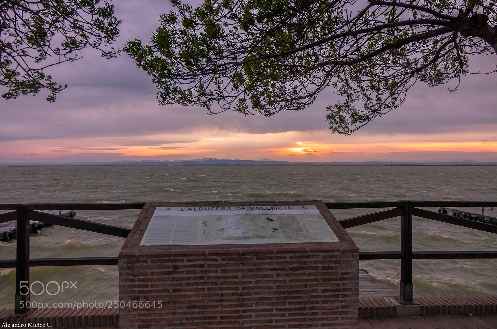 Sony Cyber-shot DSC-RX10 sample photo. Atardecer en la albufera photography