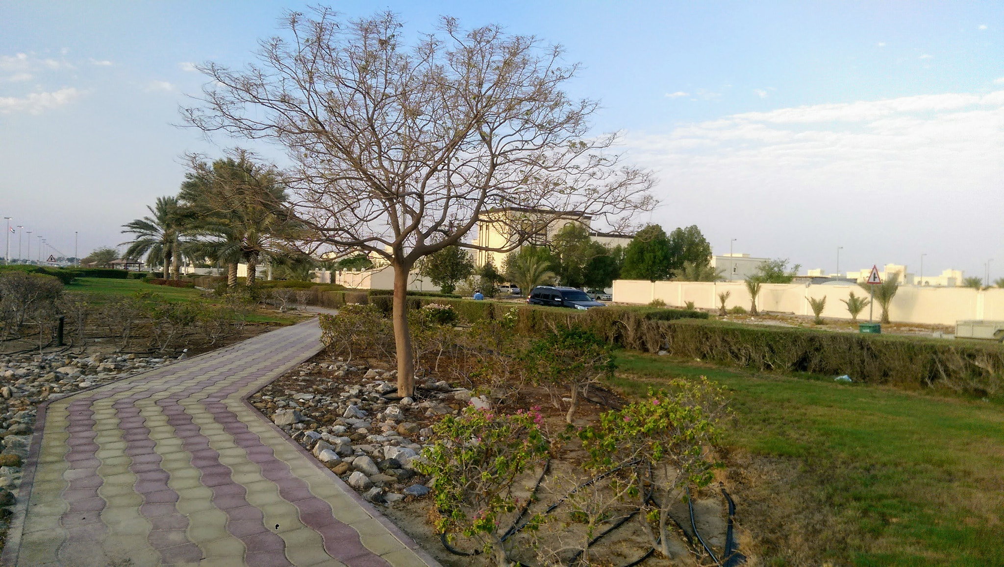 HTC ONE M8 sample photo