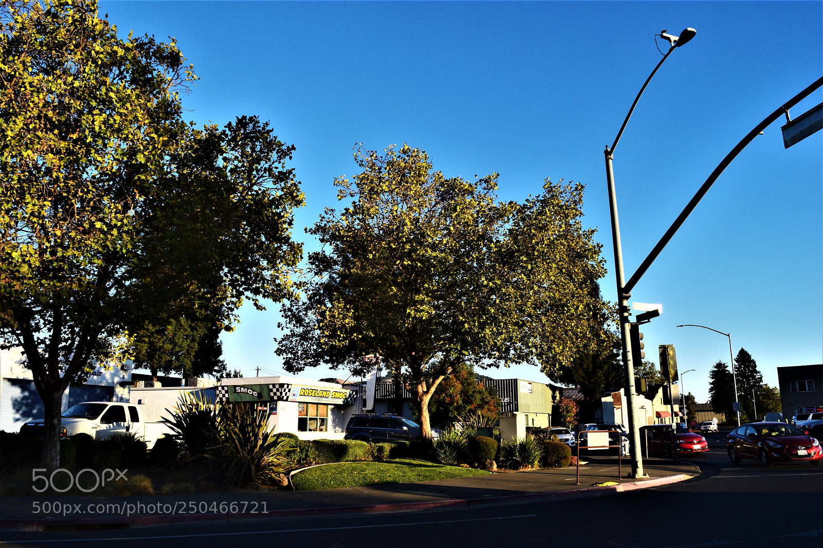 Nikon D3300 sample photo. Driving photography