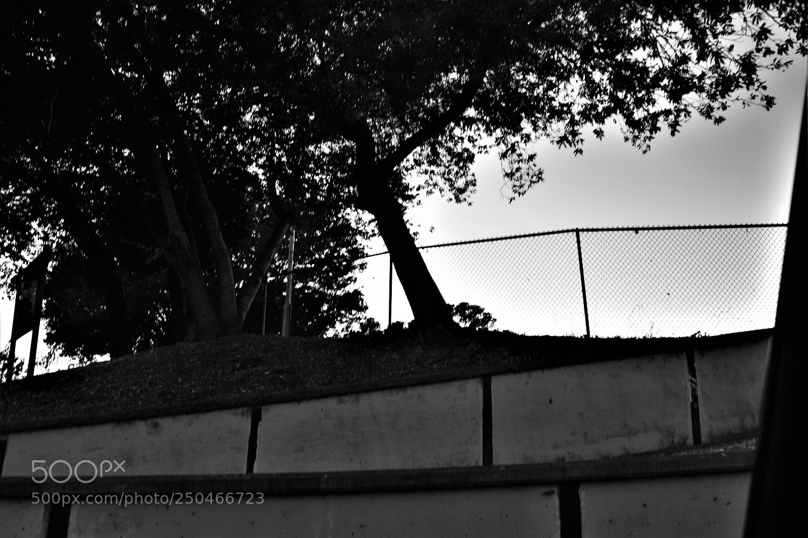 Nikon D3300 sample photo. Driving photography