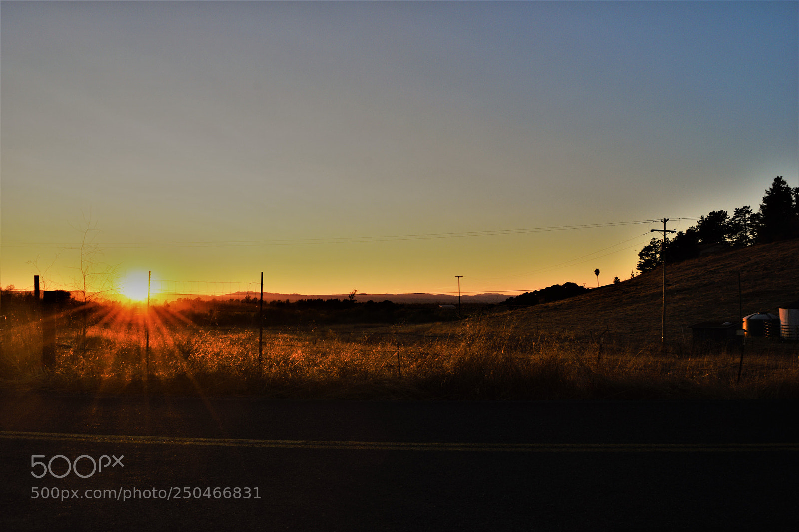 Nikon D3300 sample photo. Pressley & lichau photography
