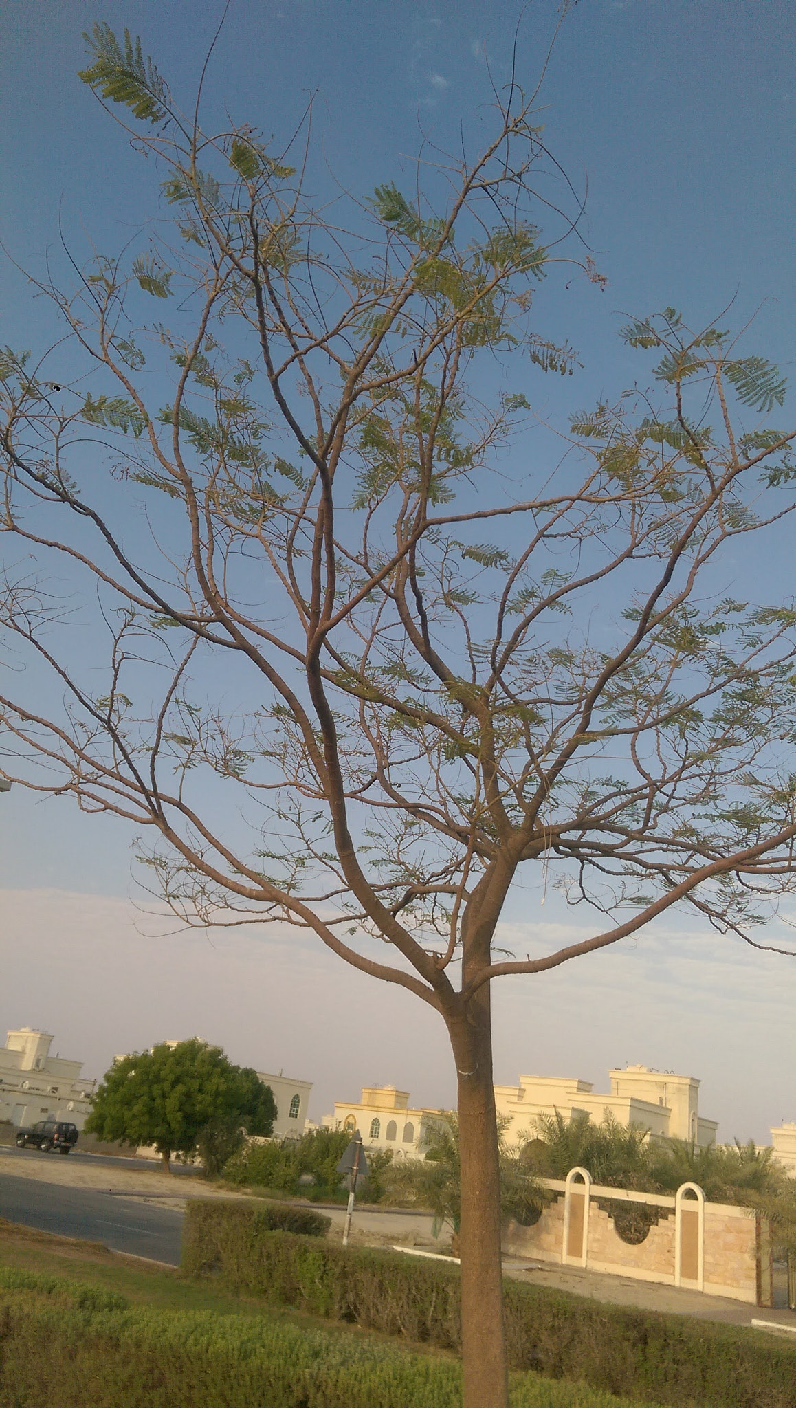 HTC ONE M8 sample photo