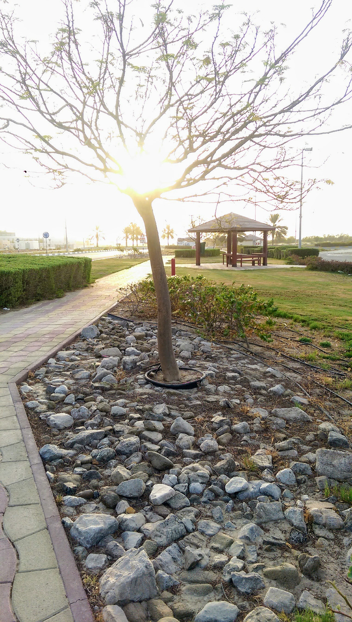 HTC ONE M8 sample photo