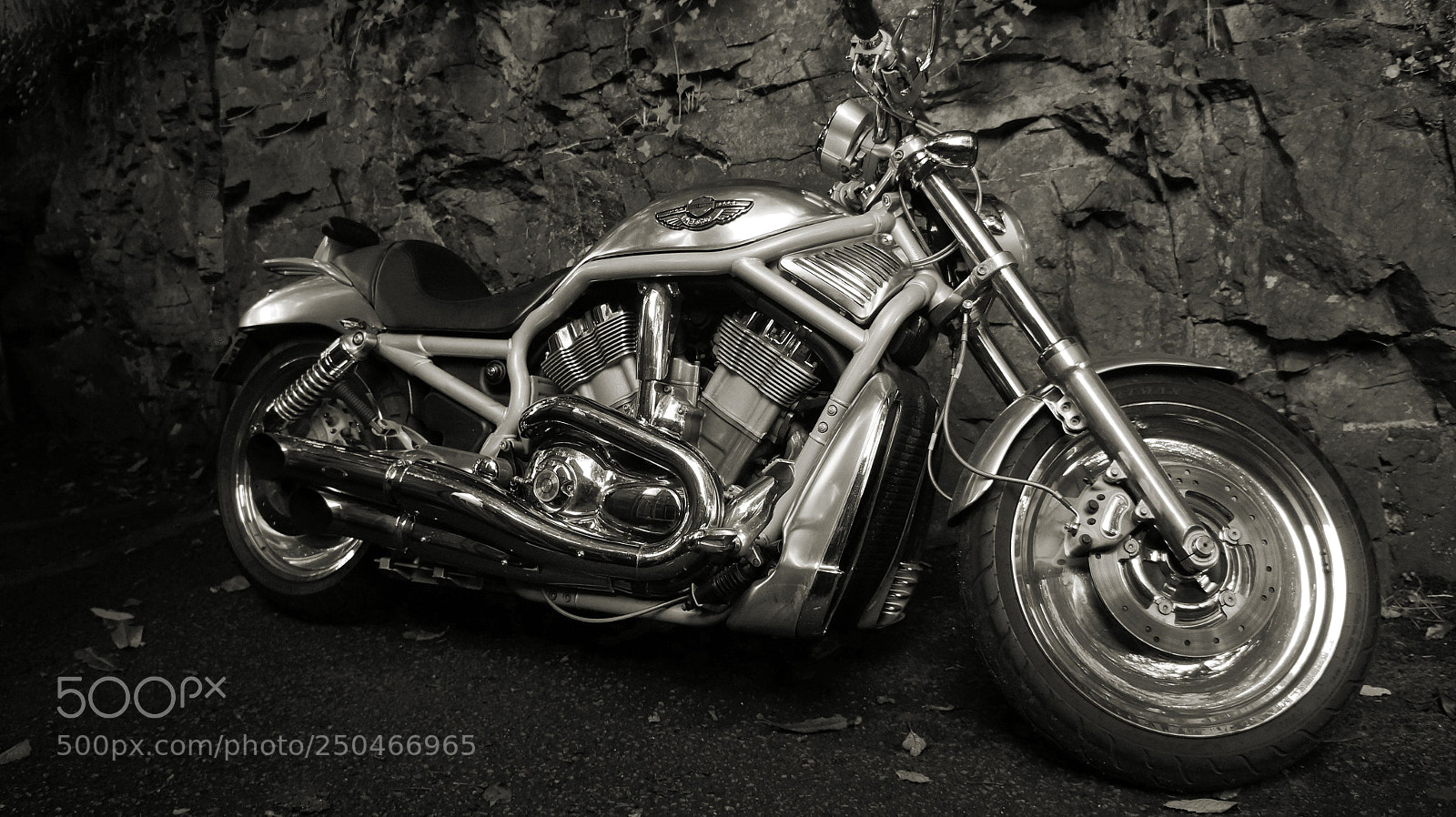 Sony Alpha NEX-5N sample photo. Harley d photography