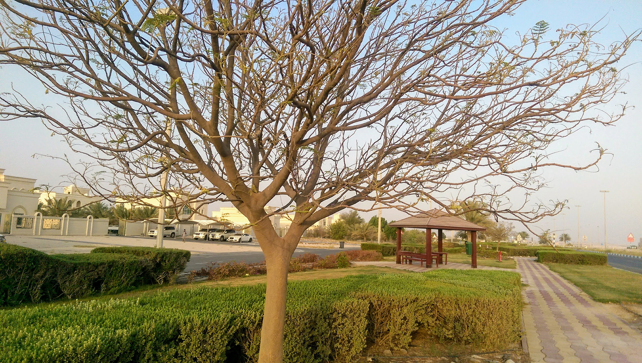 HTC ONE M8 sample photo