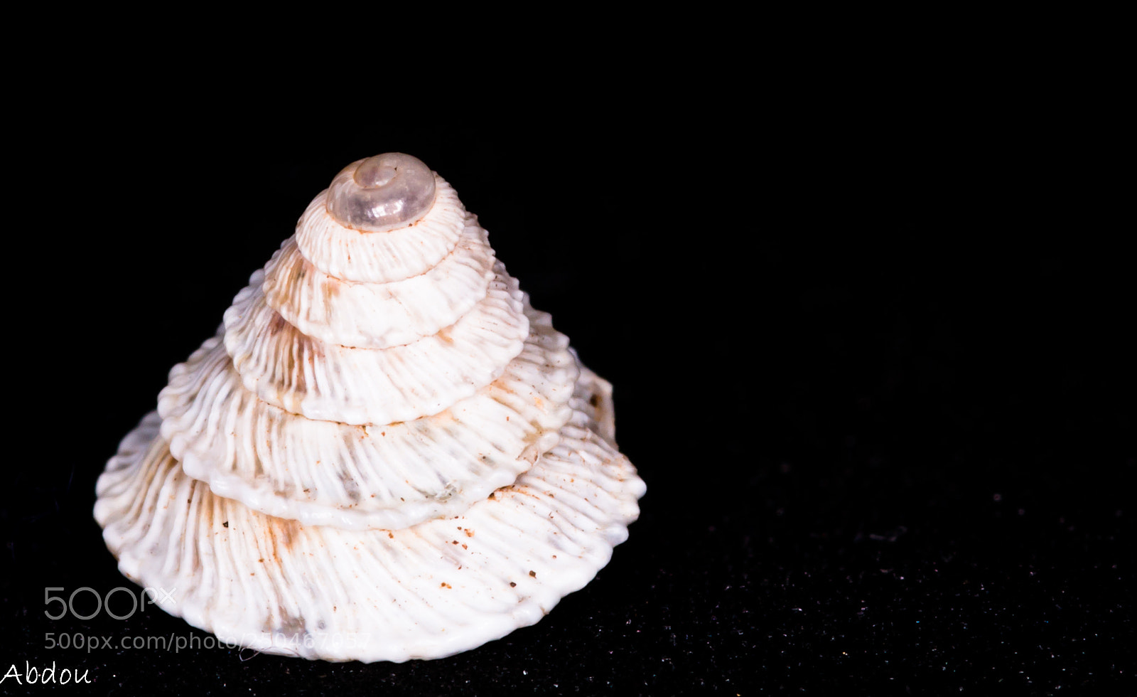 Canon EOS 70D sample photo. Untitled photography