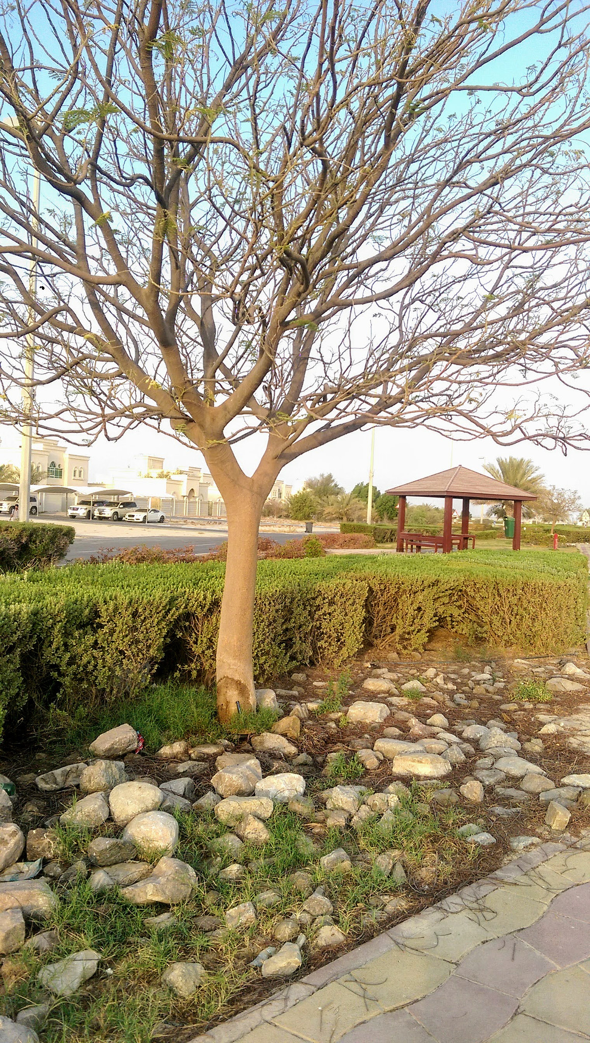 HTC ONE M8 sample photo
