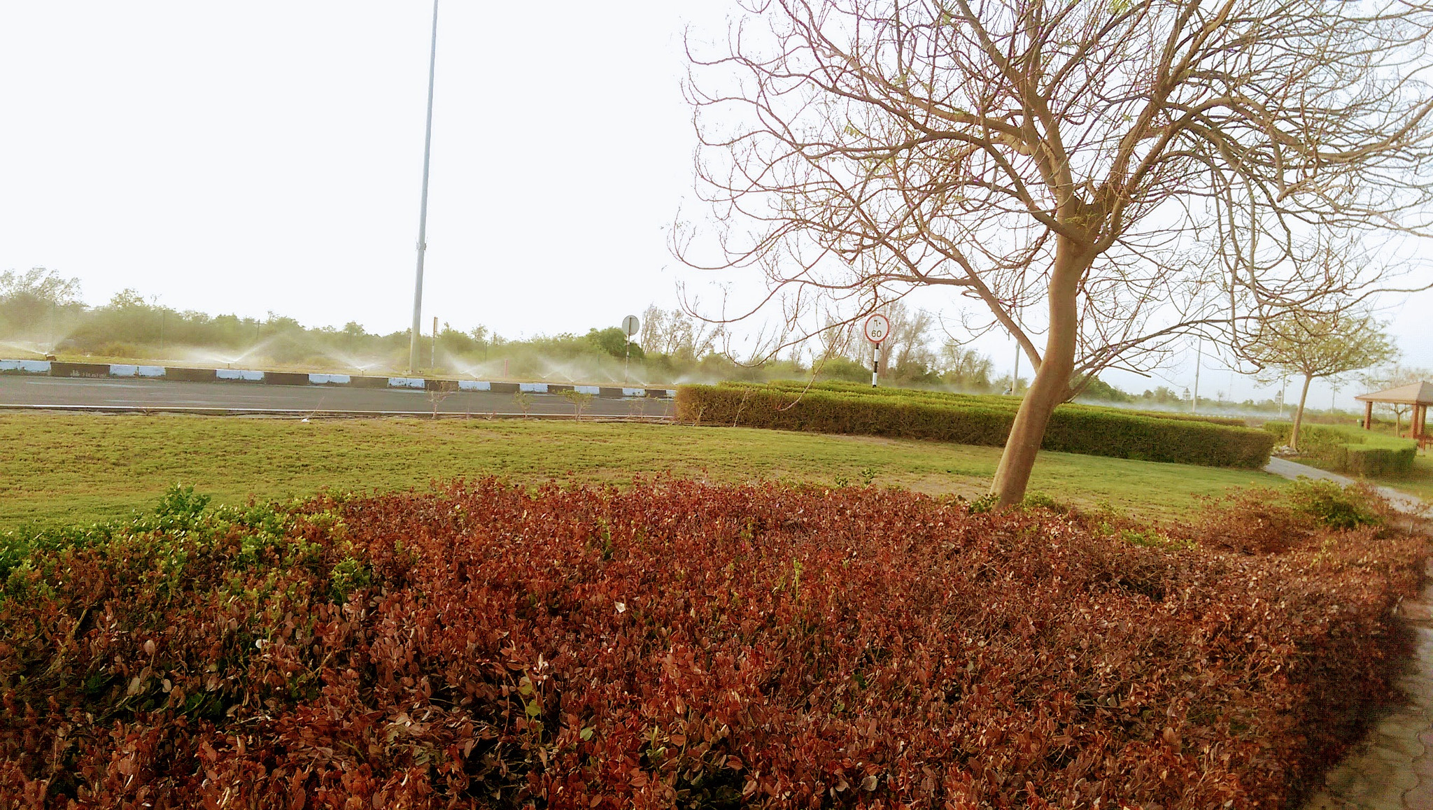 HTC ONE M8 sample photo