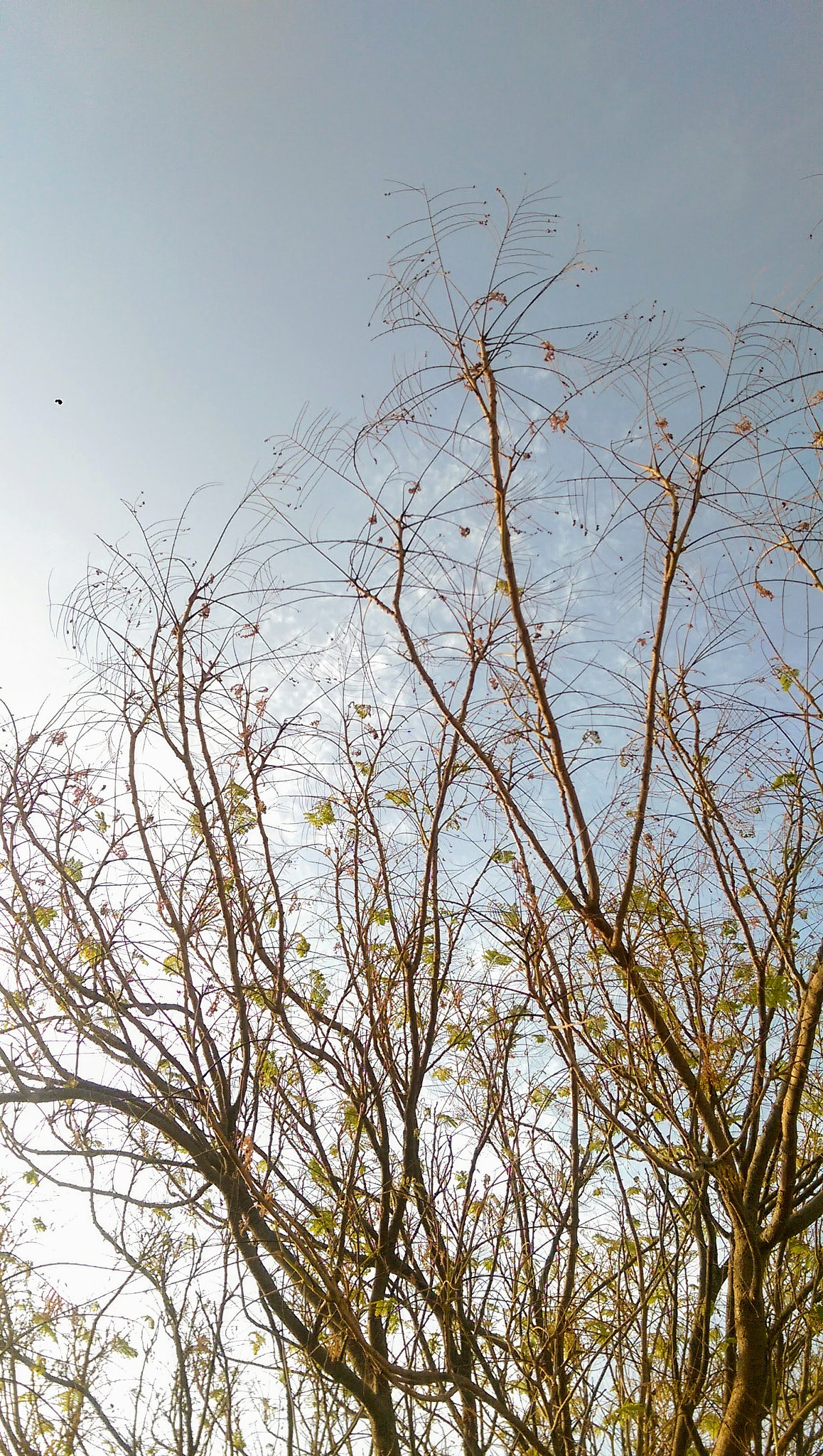 HTC ONE M8 sample photo
