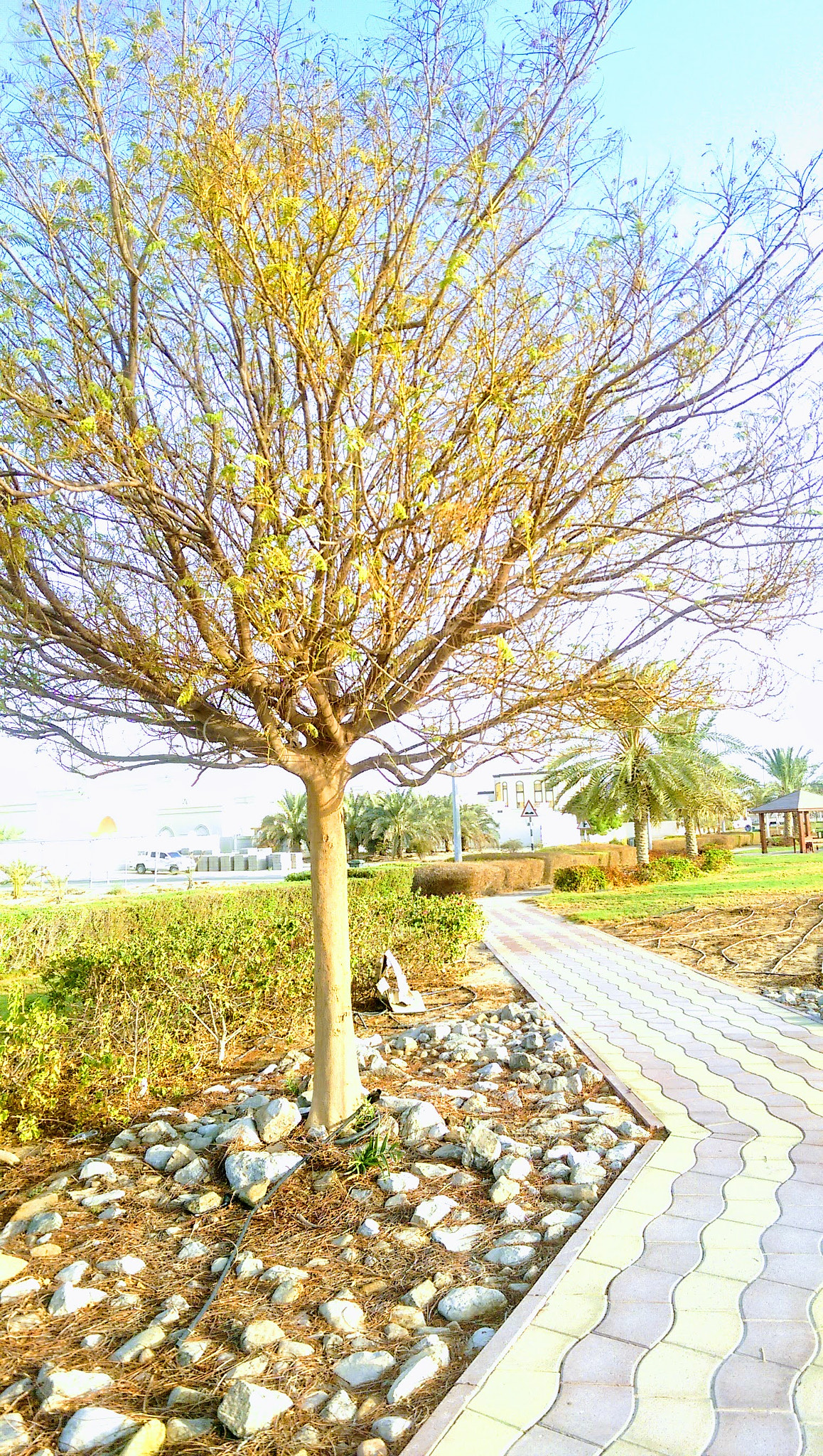 HTC ONE M8 sample photo