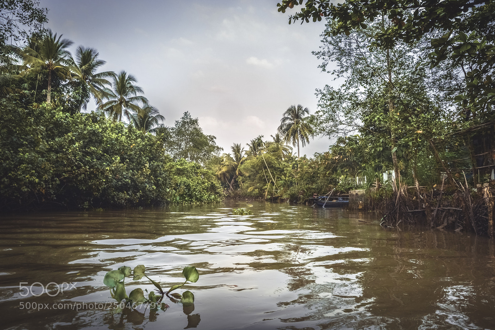 Nikon D5200 sample photo. Mekong photography