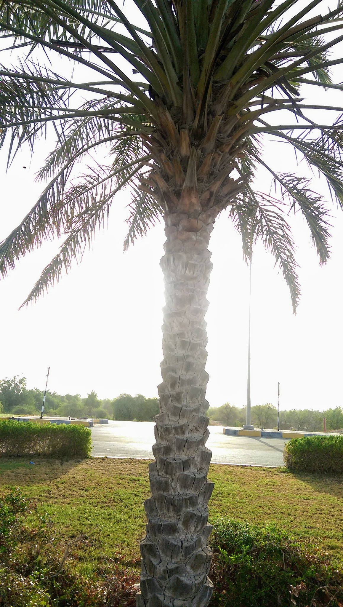 HTC ONE M8 sample photo