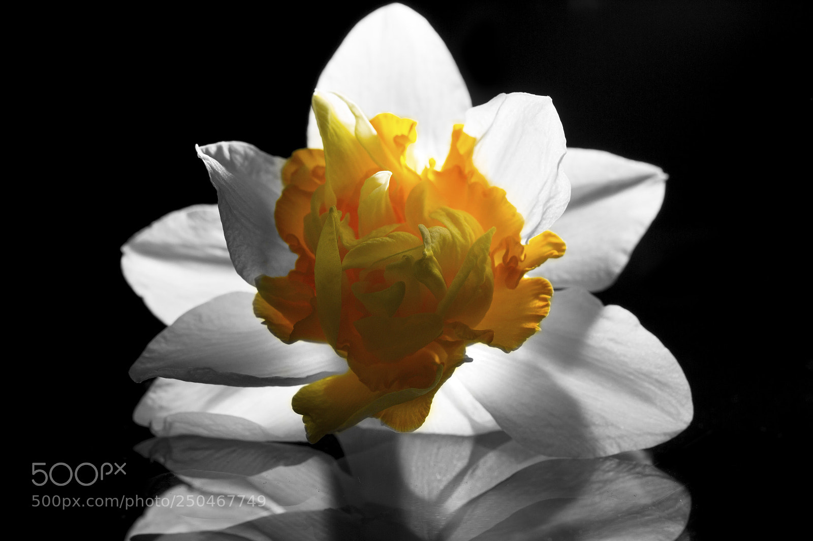 Canon EOS 600D (Rebel EOS T3i / EOS Kiss X5) sample photo. Sonnenbarke photography