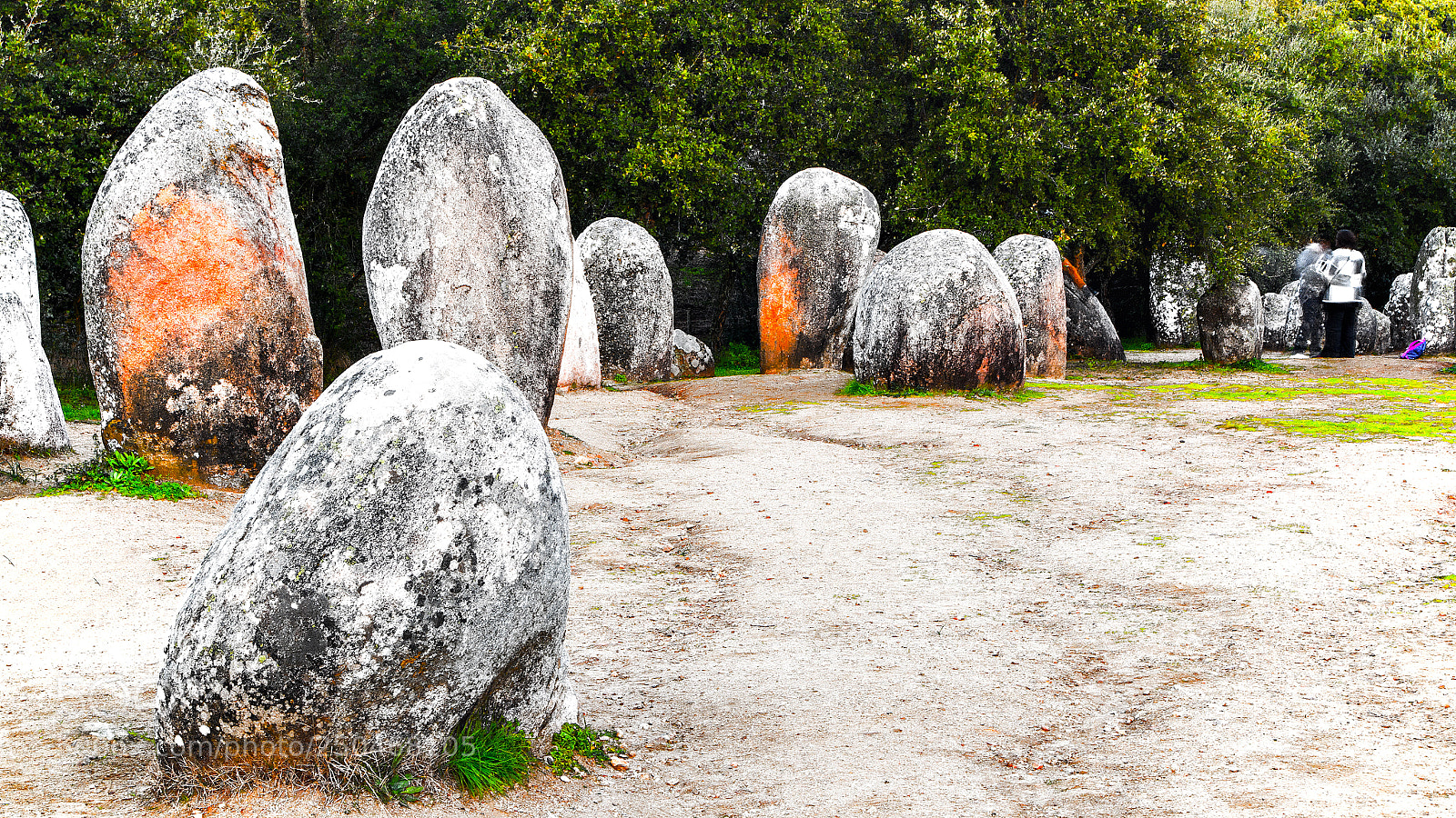 Pentax K-50 sample photo. Almendres cromlech, portugal photography