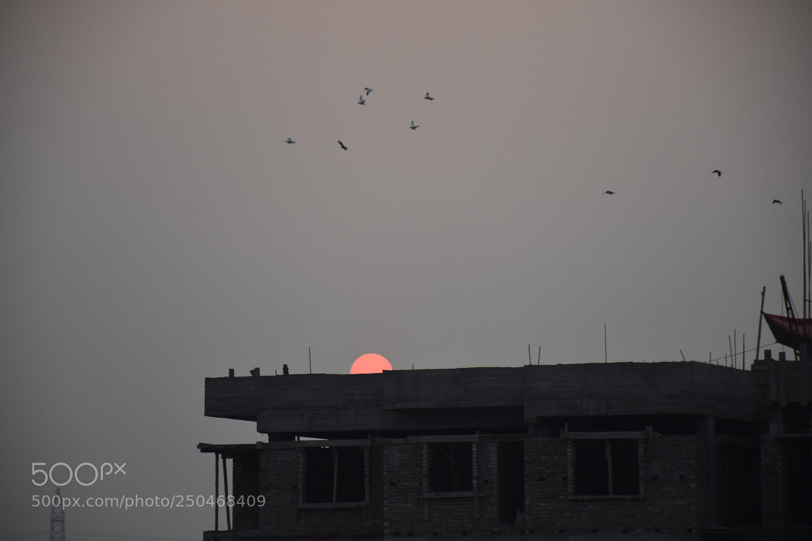 Nikon D7200 sample photo. Untitled photography