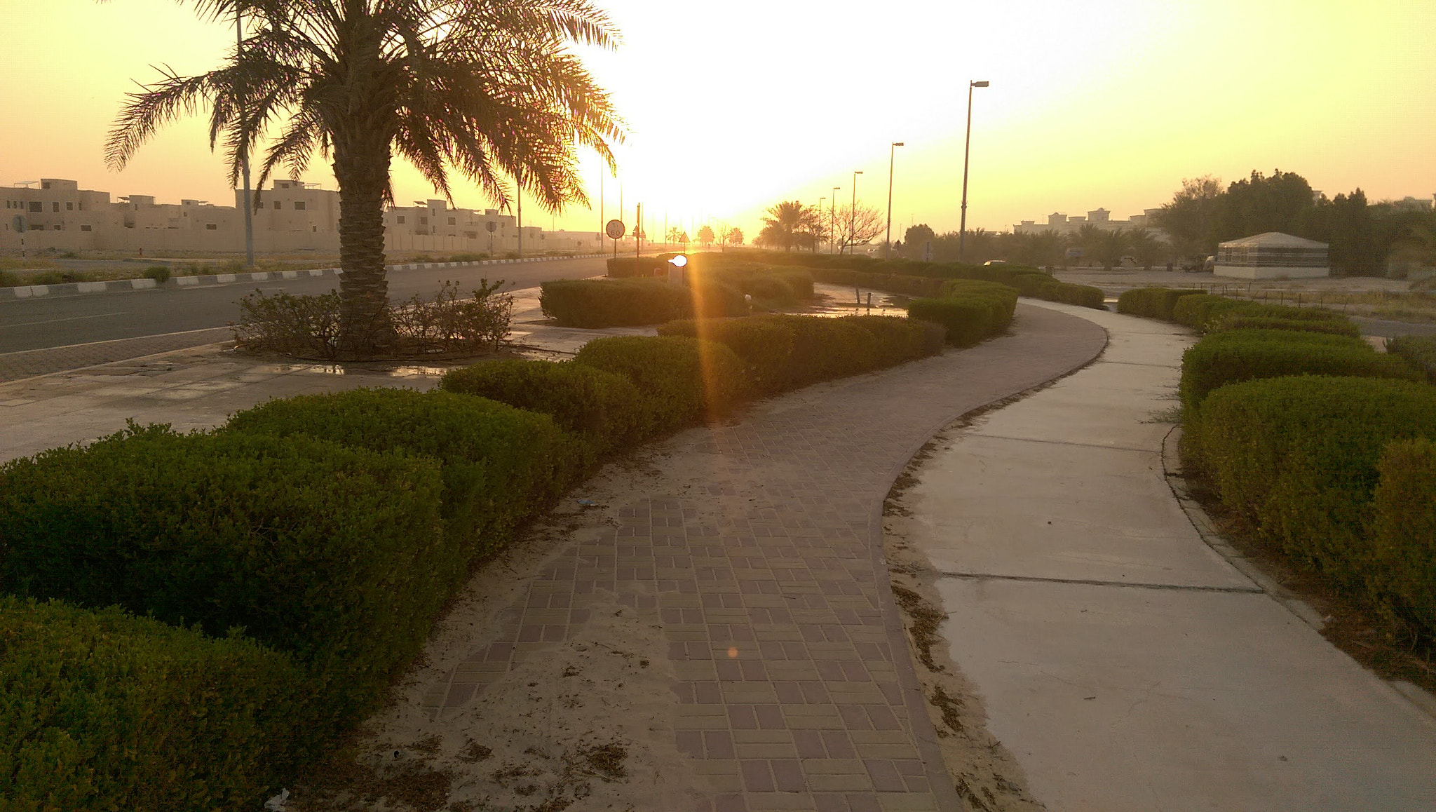 HTC ONE M8 sample photo