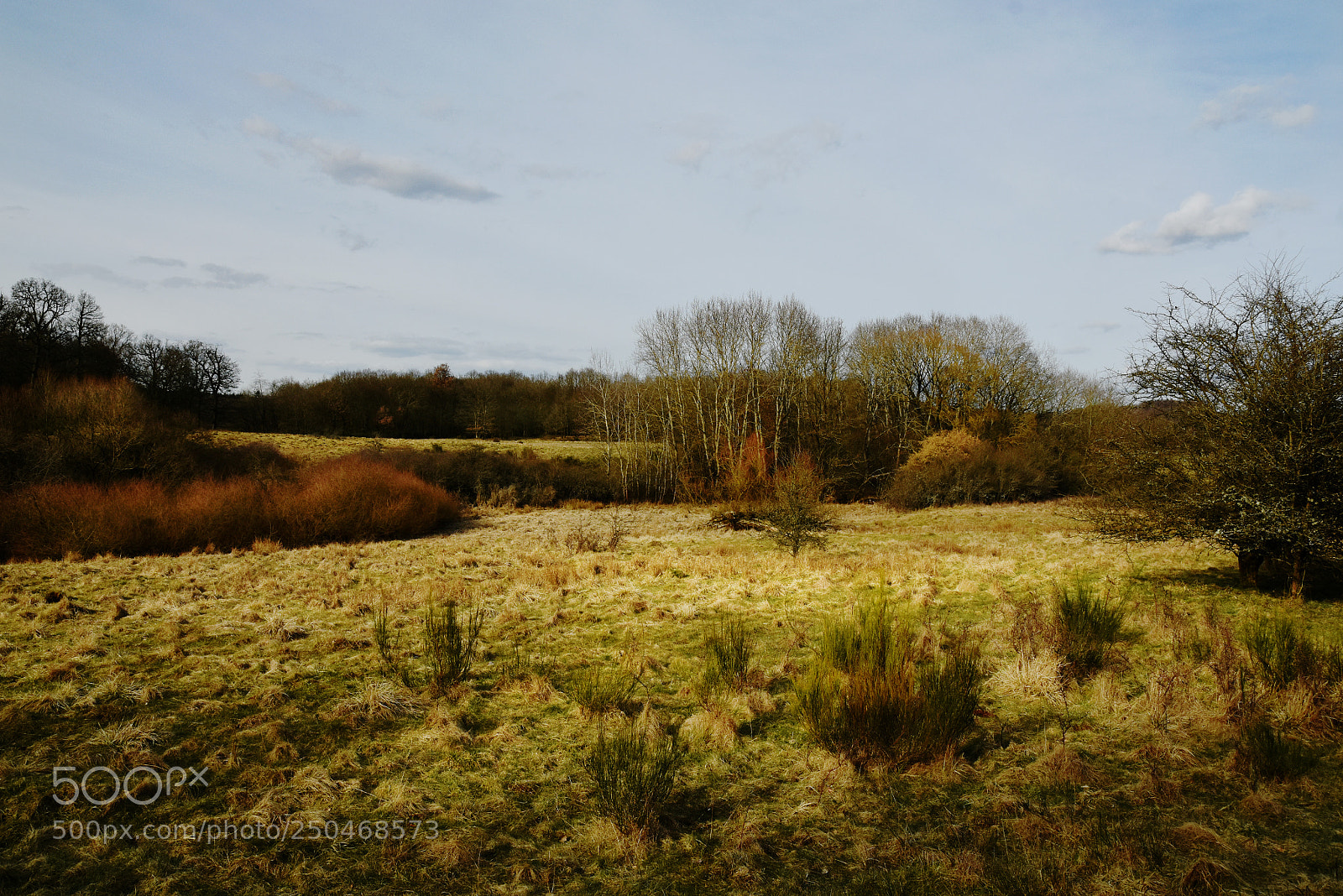 Nikon D7200 sample photo. Nature reserve ii photography