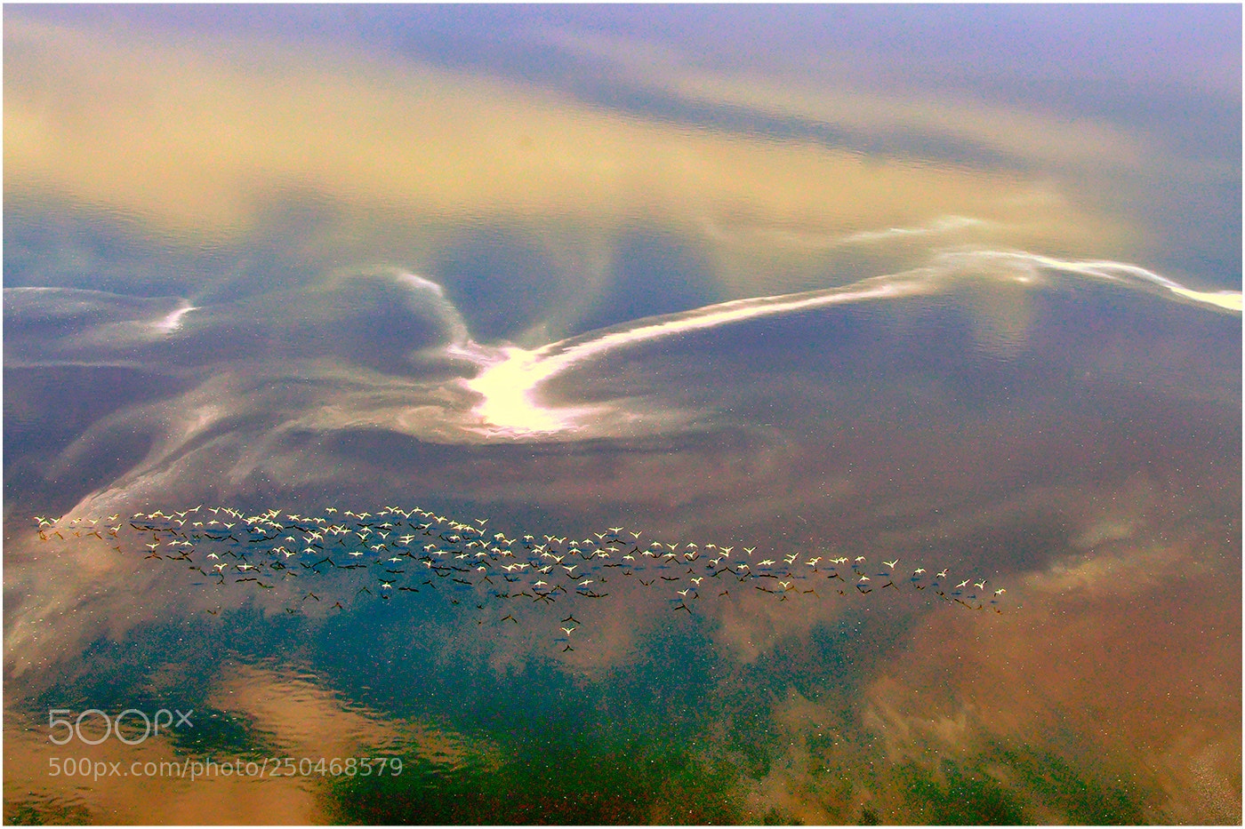 Sony a99 II sample photo. Photographing flamingos lake natron photography