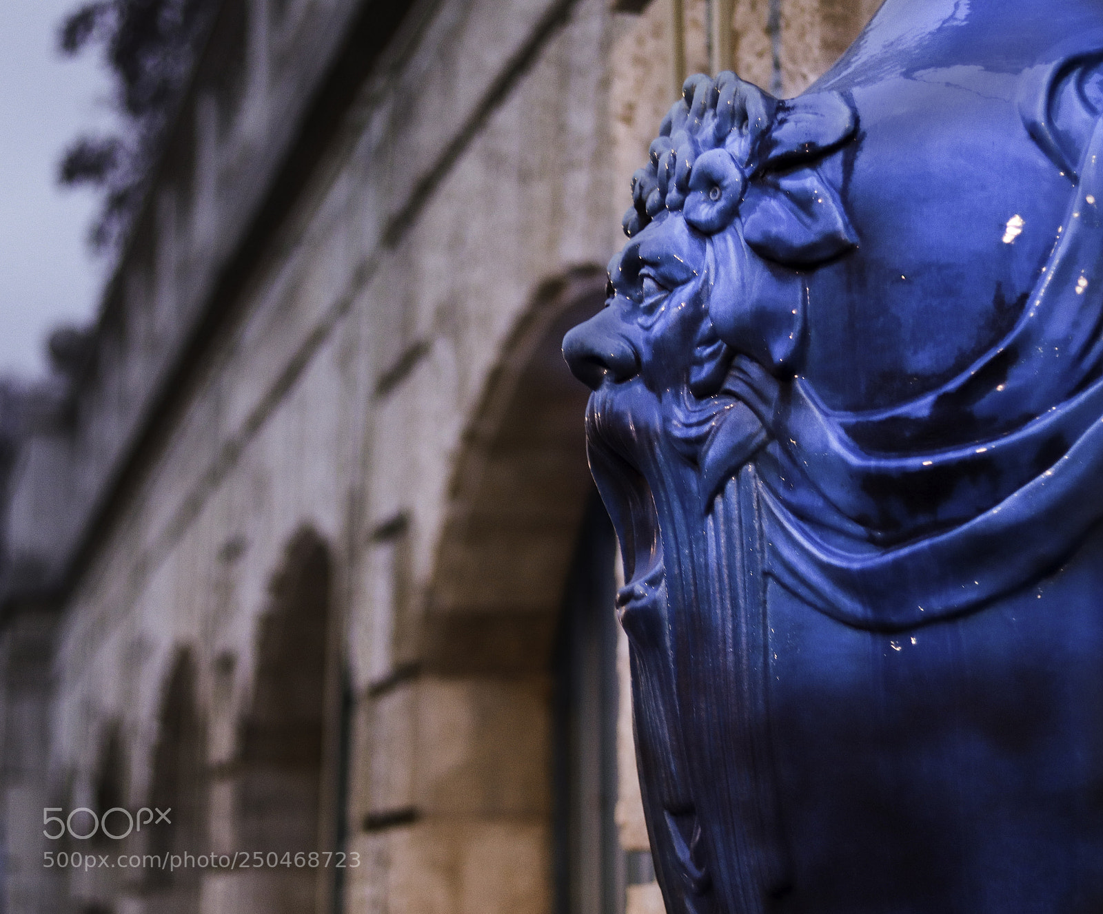 Canon EOS 77D (EOS 9000D / EOS 770D) sample photo. Blue creature photography