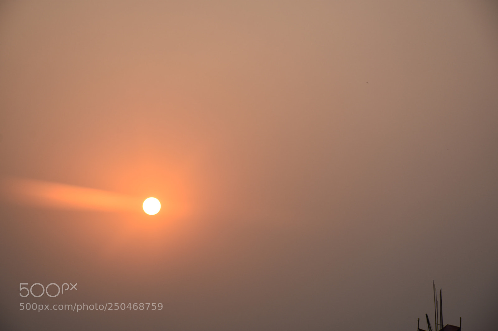 Nikon D7200 sample photo. Untitled photography