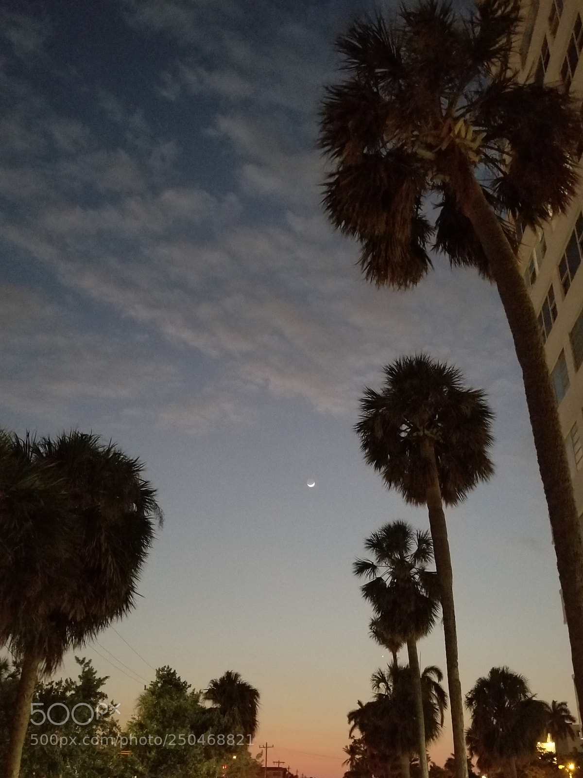 Samsung Galaxy S8 sample photo. Untitled photography