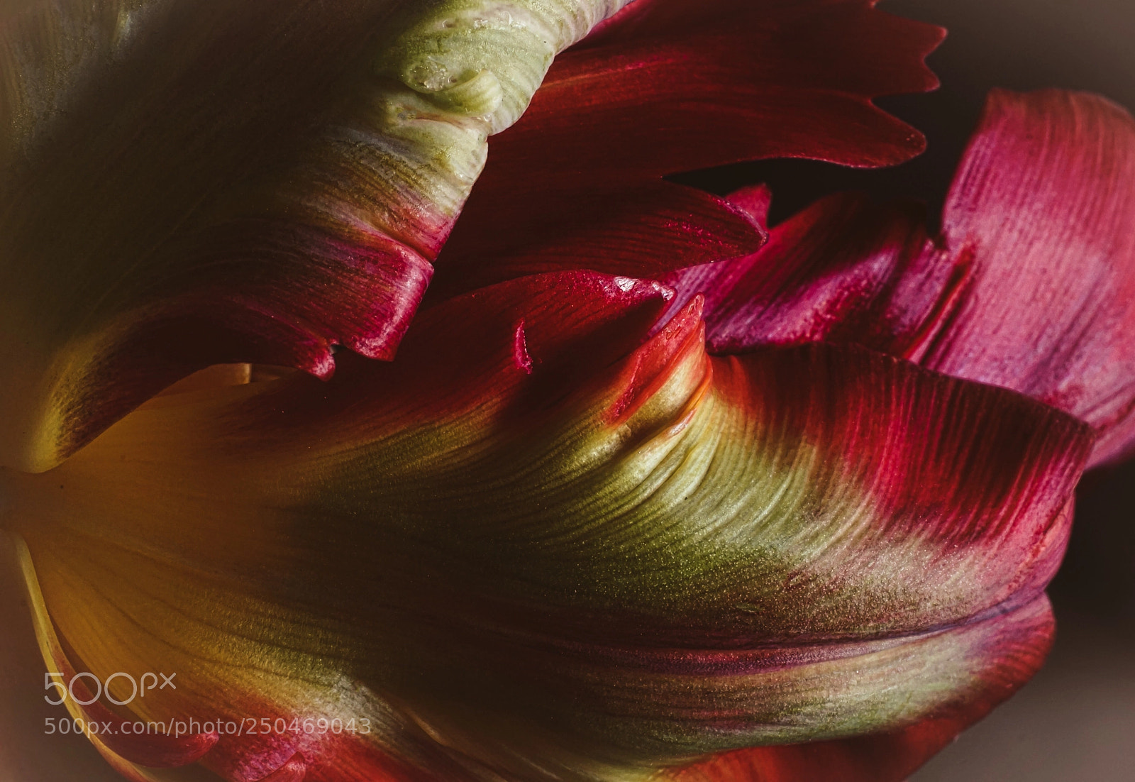 Sony a6000 sample photo. Titel farbe, form und photography