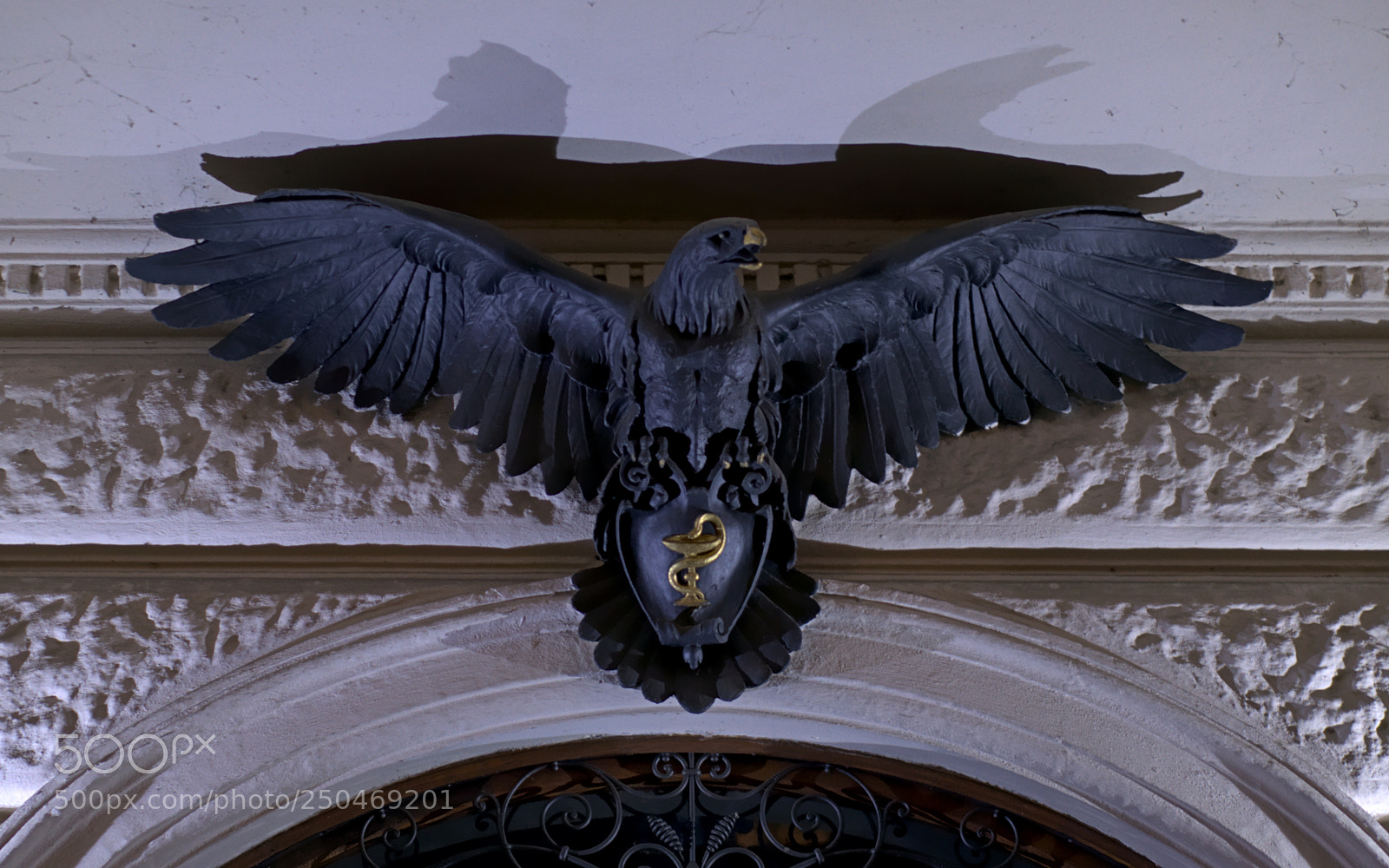 Sony Alpha NEX-5T sample photo. Black eagle pharmacy sign photography