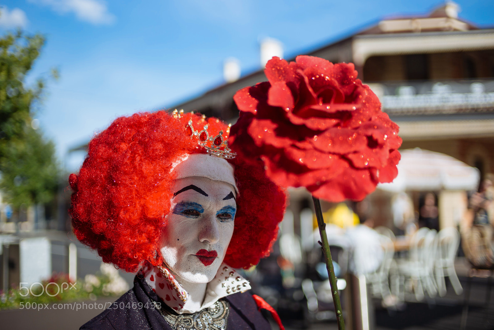 Leica M (Typ 240) sample photo. The red queen photography