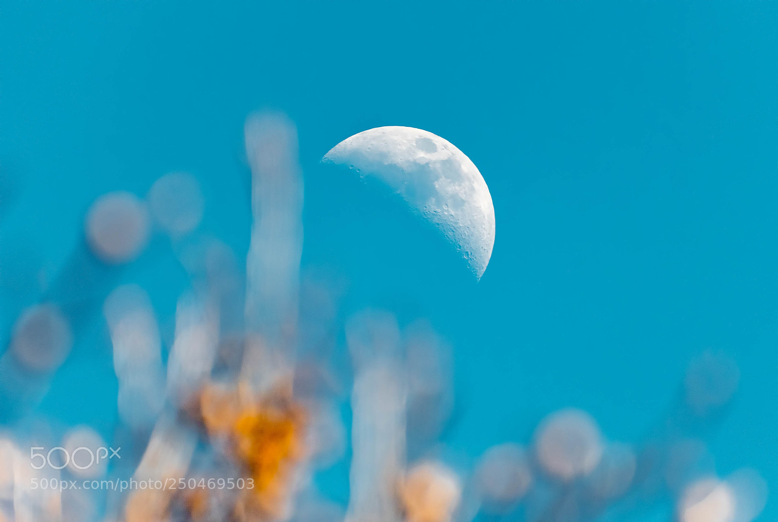 Nikon D500 sample photo. Fresh moon in the photography