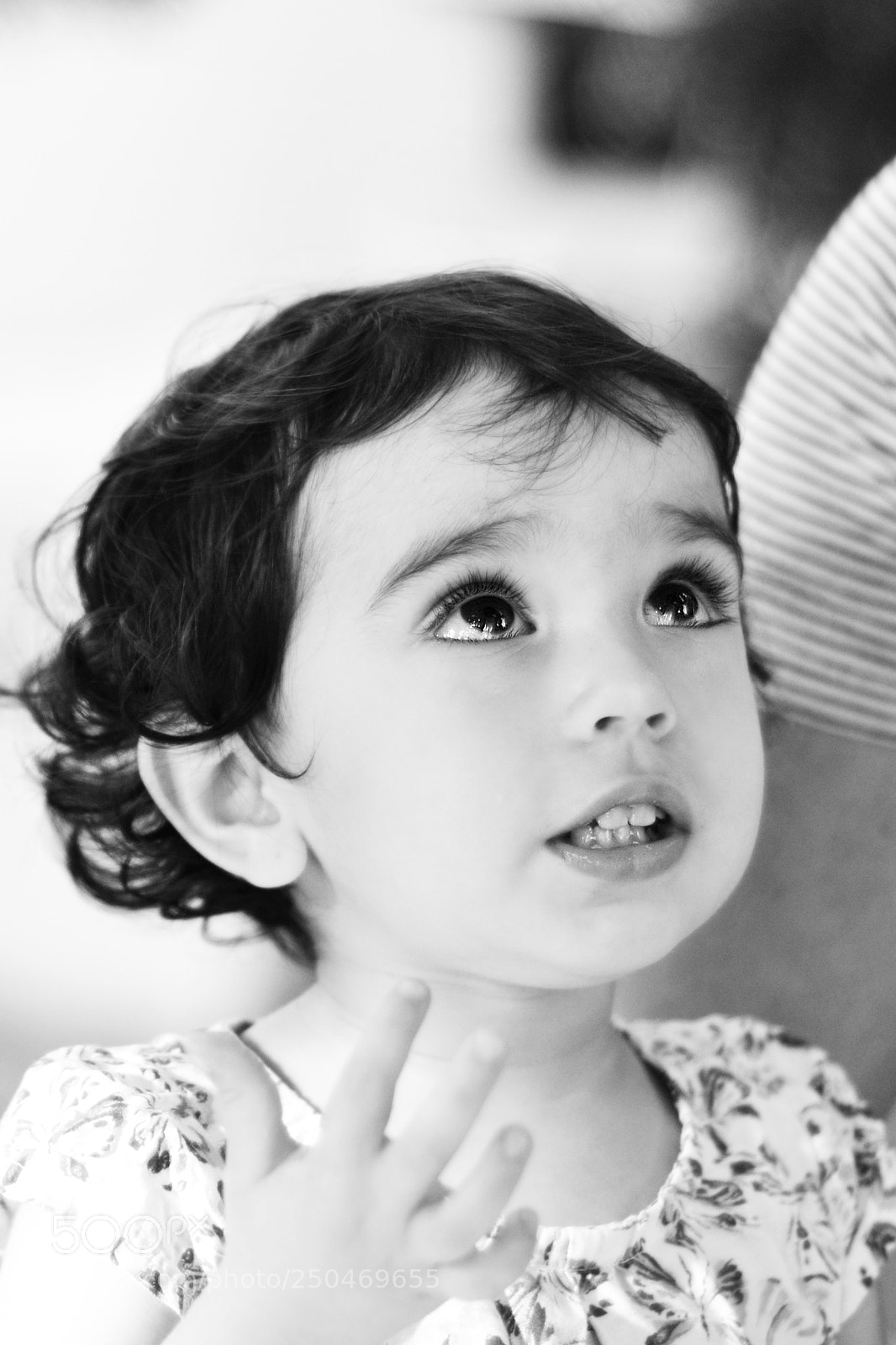 Nikon D3100 sample photo. I want some cheese photography