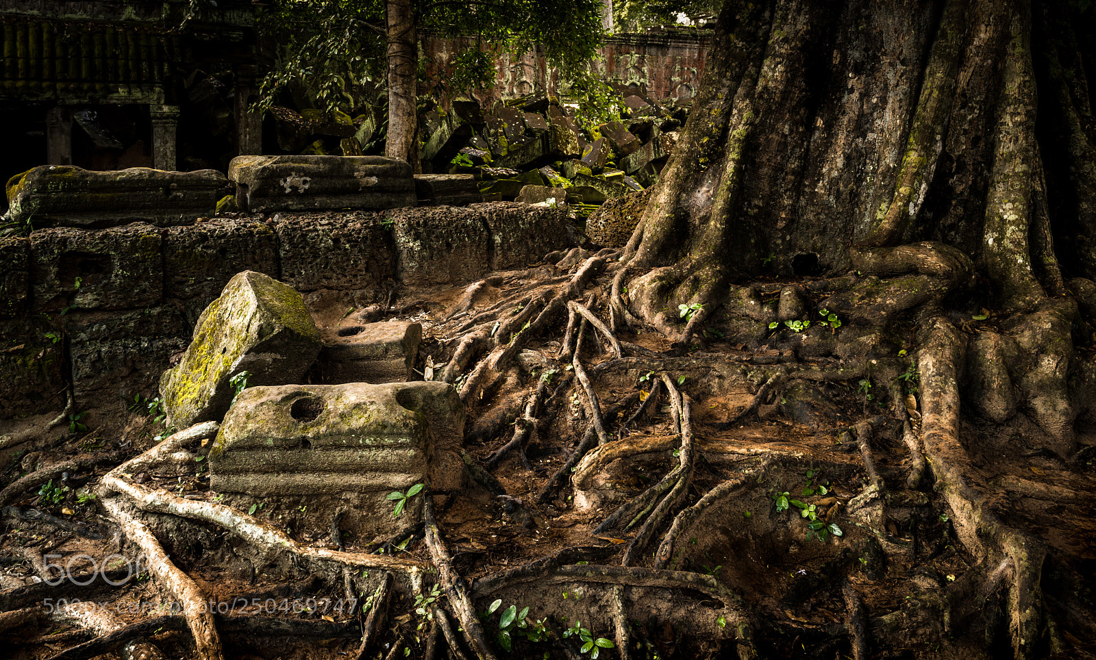 Nikon D810 sample photo. The roots of history photography