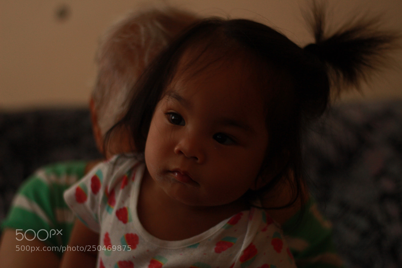 Canon EOS 700D (EOS Rebel T5i / EOS Kiss X7i) sample photo. 226 of 365 photography
