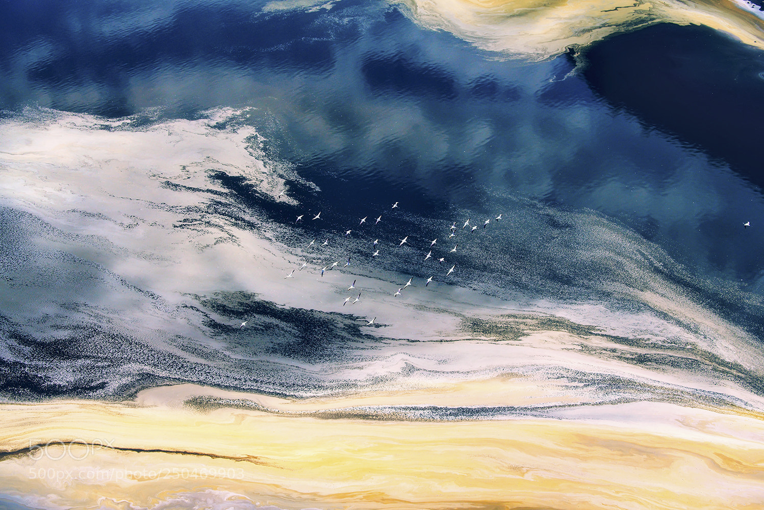 Sony a99 II sample photo. Photographing flamingos lake natron photography