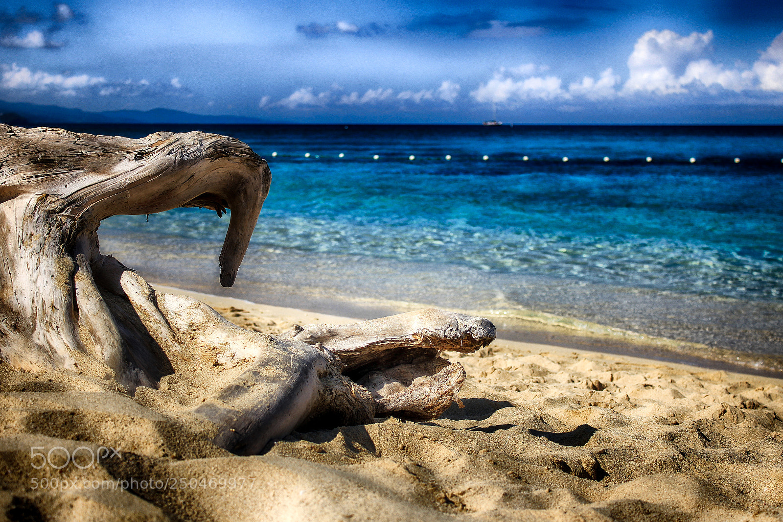 Canon EOS 550D (EOS Rebel T2i / EOS Kiss X4) sample photo. Jamaica photography