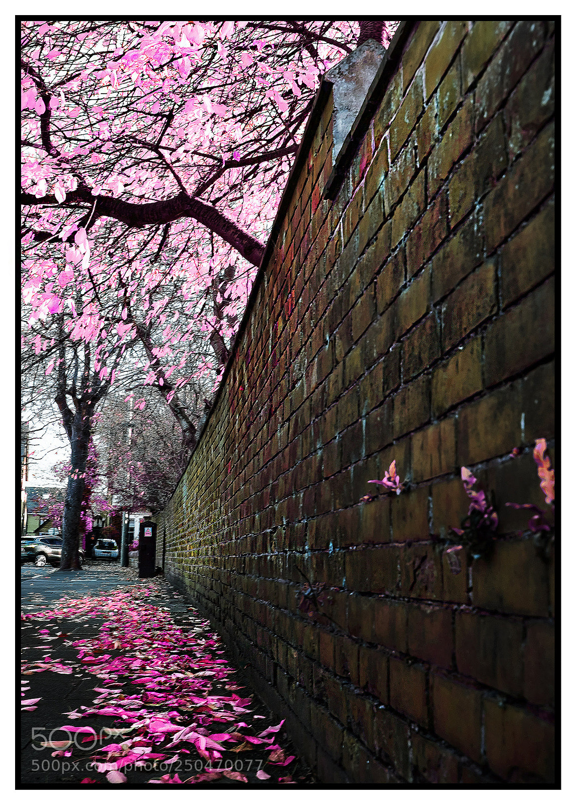 Fujifilm X-T1 sample photo. Out walking one day. photography