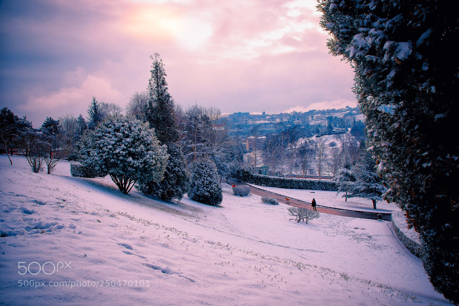 Canon EOS 7D Mark II sample photo. Parque de invierno photography